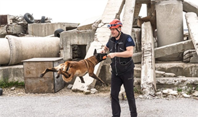 Momo enkaz için eğitiliyor